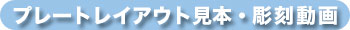 �ץ졼��Ħ�︫�ܡ�Ħ��ư��Ϥ����餫��ɤ�����
