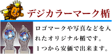 �ǥ����顼��